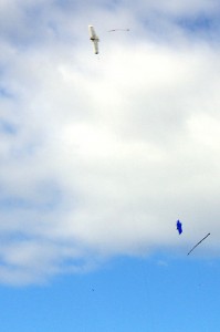 Two CL combat models flying against a blue sky                